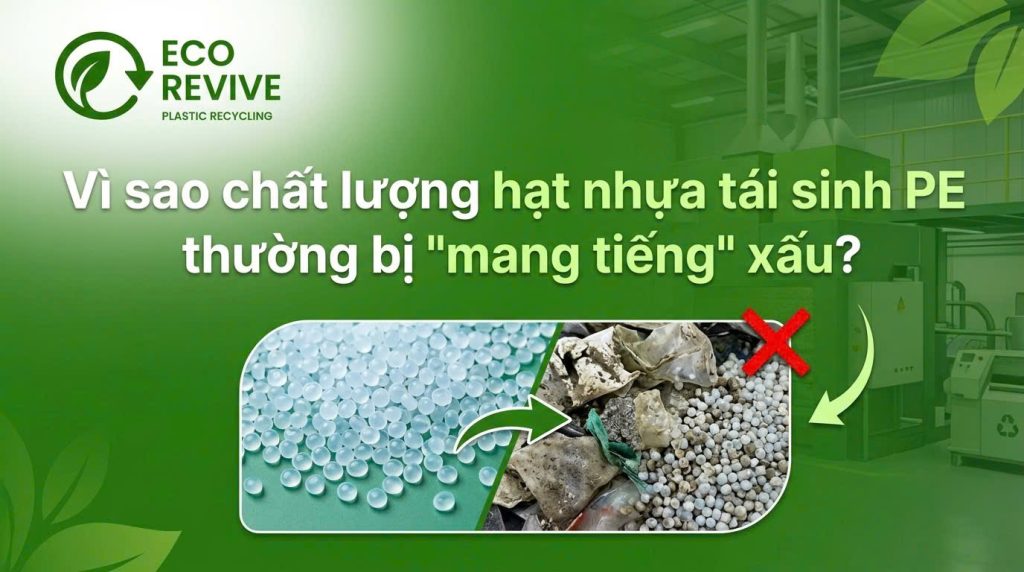 chất lượng nhựa tái sinh PE