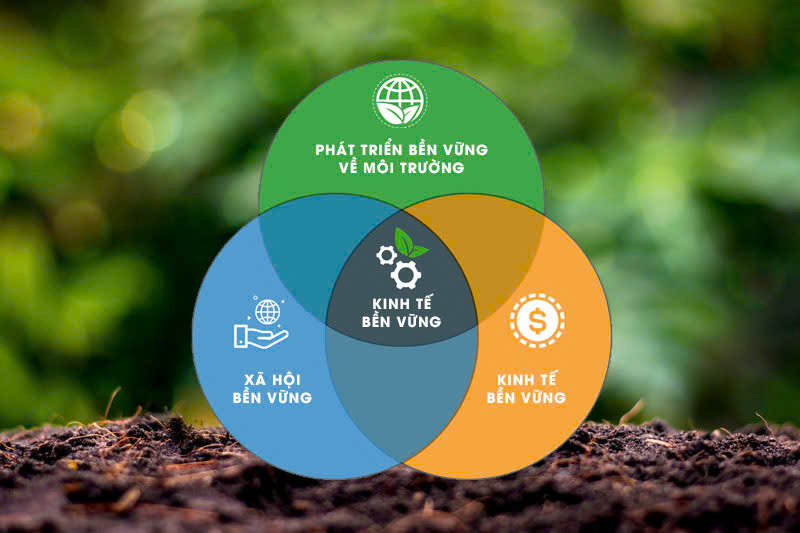 Phát triển bền vững - LAM TRÂN PLASTIC RECYCLING